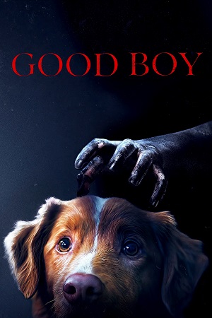 Good Boy